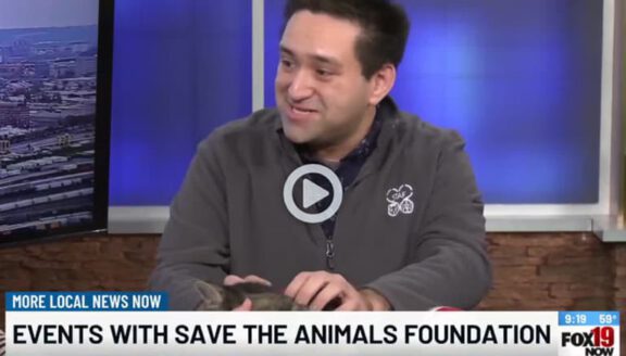 Save the Animals Foundation representative appearing on Fox 19 to discuss an upcoming event