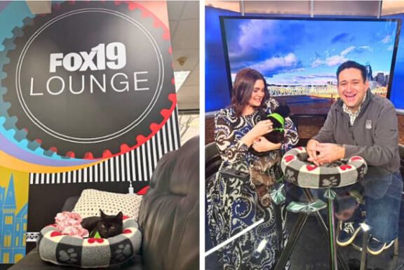 Shelter volunteers showcase rescued cats and a small dog during a Fox 19 Lounge TV segment.
