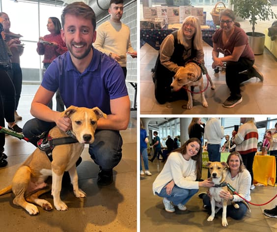 Shelter volunteers socialize with dogs and pose for photos, showcasing happy, adoption-ready canines.