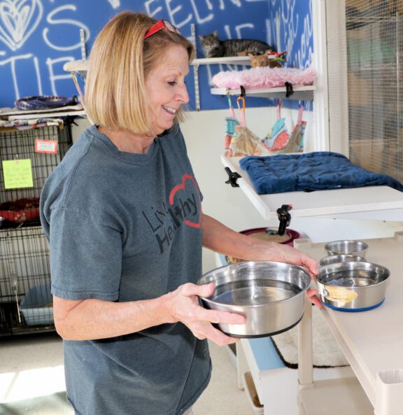 A shelter volunteer prepares metal feeding bowls for cats and dogs.