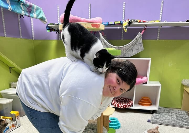 Volunteer leans over in a bright animal shelter with a black-and-white cat perched on their back.