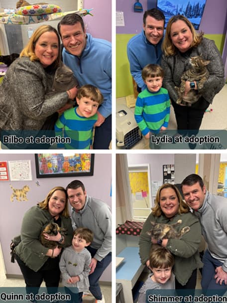 Charlie and family posing with newly adopted cats Bilbo, Lydia, Quinn, and Shimmer in a four-photo collage