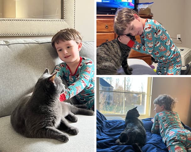 A young child in teal pajamas cuddles and plays with a gray cat across three cozy scenes.