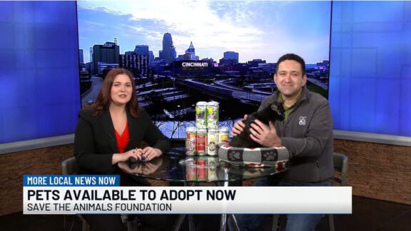 Save the Animals Foundation volunteers sit at a news desk discussing pets available to adopt on a TV segment.