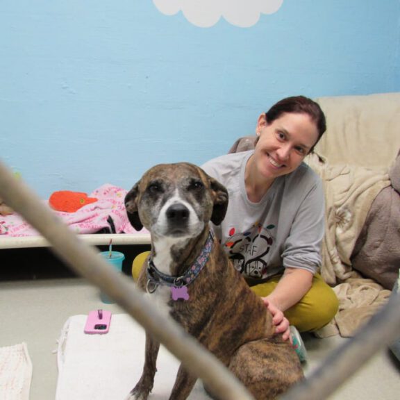 A brindle dog with a pink tag sits in the foreground while a smiling woman sits on the floor behind it in a light blue room with cloud decorations.
