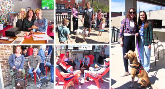 A collage showing STAF volunteers socializing dogs and assisting at shelter and adoption events.