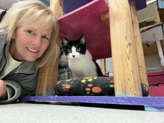 Volunteer beside a black-and-white cat under a wooden shelter, resting on a colorful paw-print blanket.
