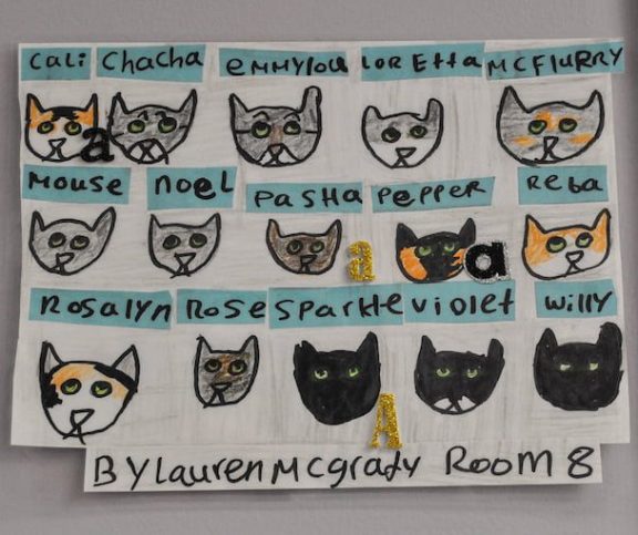 Colorful hand-drawn collage of numerous cat portraits with names, a classroom art display by Lauren McGray, Room 8.