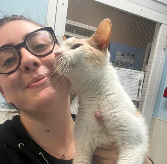 Volunteer with glasses holds a white cat at the shelter.