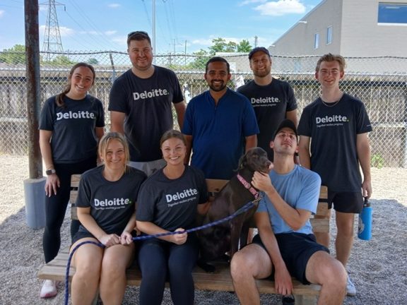 Volunteers from Deloitte in a play yard at STAF with a black dog