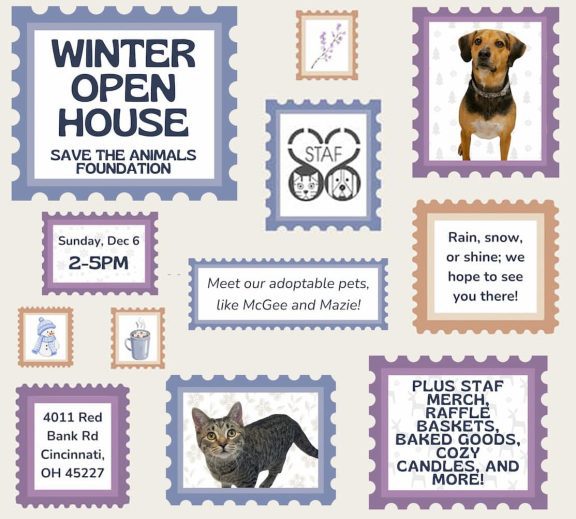 Winter Open House flyer for Save the Animals Foundation. Sunday, Dec. 6 from 2–5 PM at 4011 Red Bank Rd., Cincinnati, OH 45227. Features adoptable pets, STAF merchandise, raffle baskets, baked goods, cozy candles, and more.